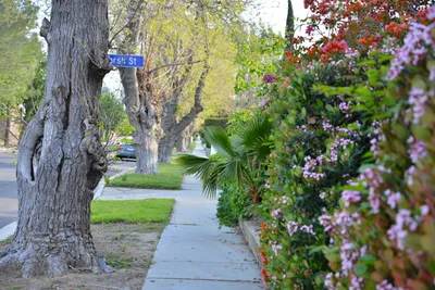 DSC_7221 (Large).JPG